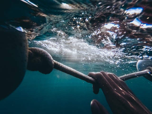 深海泰坦皮肤推出，将深蓝和深海生物融合