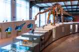 河源恐龙博物馆(探寻恐龙时代的隐秘——河源恐龙博物馆)