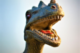 恐龙化石：重现远古生命之谜