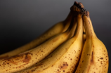 【解析】香蕉水是什么？喝了对身体有益吗？